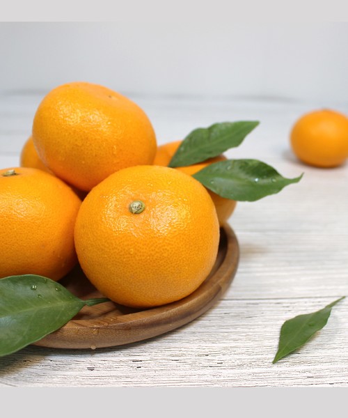 당도선별 실속 천혜향 4.5kg(30과내외)